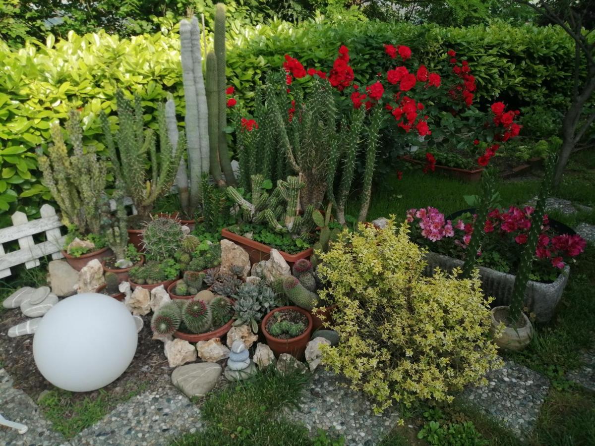 La Terrazza Sul Monferrato Ozzano Monferrato Exterior foto